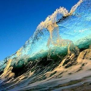 Meet your Posher, Jm